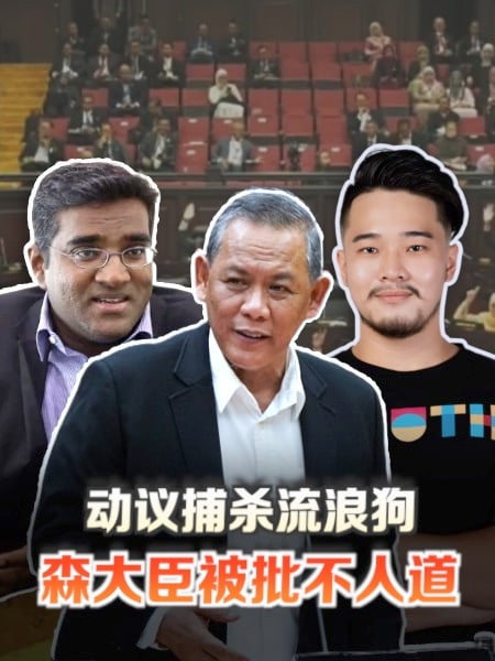 森大臣动议捕杀流浪狗引抗议潮 动保人士怒轰不人道