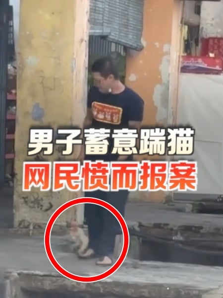 男子虐猫视频疯传 嫌犯若罪成可面临3年监禁