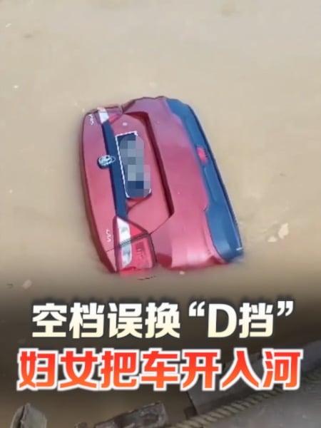 疑误把空档换“D挡” 妇女连人带车滑入河