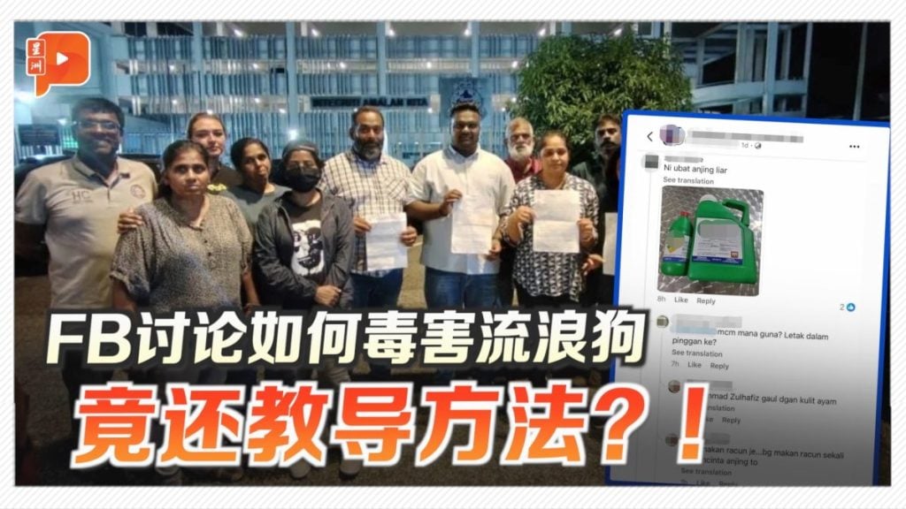 FB讨论如何毒害流浪狗 竟还教导方法？！