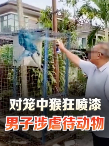 男子对笼中猴狂喷漆 动物协会叱没人性