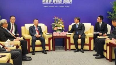 中马产业合作交流会 陈泓缣：聚焦棕榈油产业发展