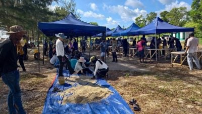沙巴公园推动生态重建 展开全国最大珊瑚复育计划