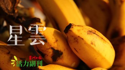 熟成的香蕉，酝酿的温暖/金安（大山脚）