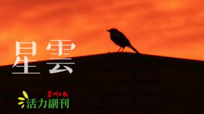 后来/张尤蕊（史里肯邦安）