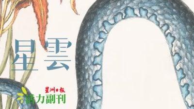 【爱华文】你说啥？/林展邦（蒲种）