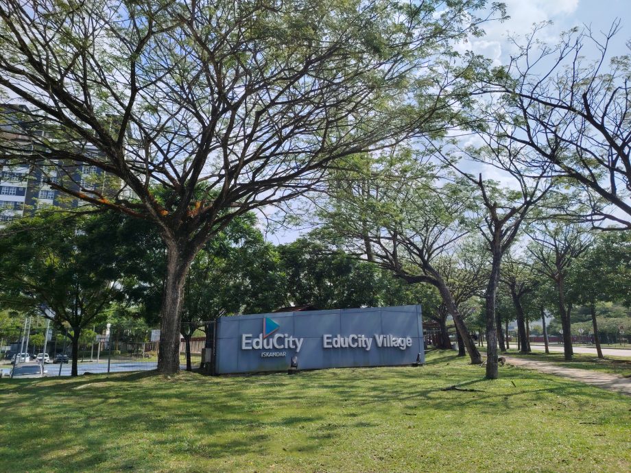 (6月2日见报)柔佛房市向南而生系列1| 依斯干达特区 天时地利人和 都缺?