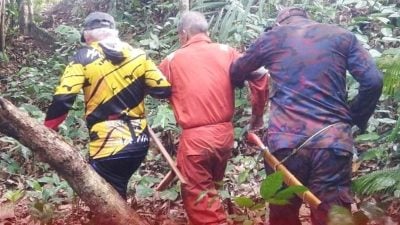 致电求助消拯员．入林迷路 老翁获救