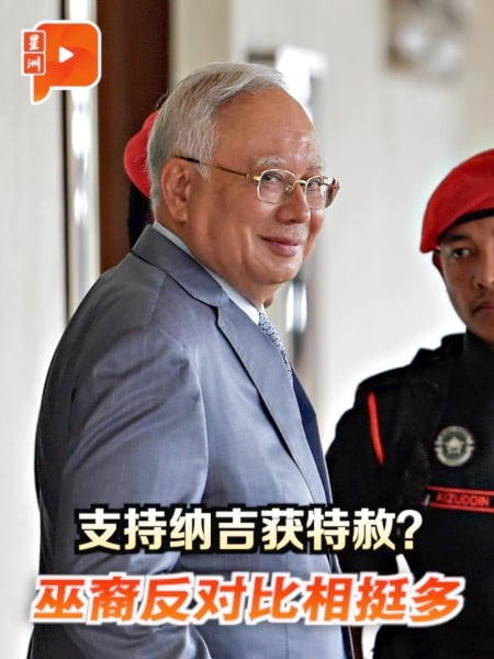 是否支持纳吉获特赦？巫裔参半反对比力挺多