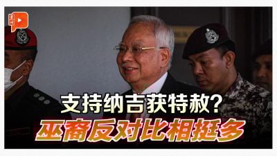 是否支持纳吉获特赦？巫裔参半反对比力挺多