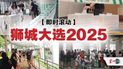 【即时滚动】狮城大选 | 工人党料续掌握10席