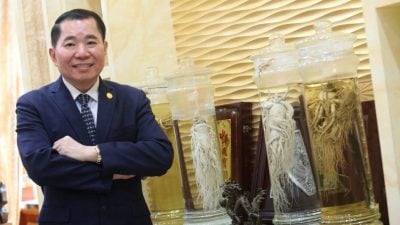 低温精萃 无农药 不上火 蔘龙 把人参做到极致