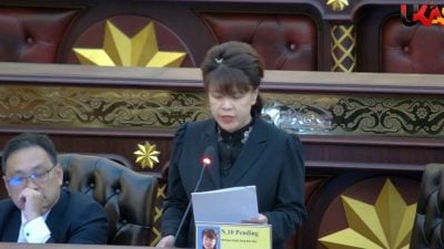 砂议会∕杨薇讳参与辩论火力全开  艾芬用错鸟令砂人蒙羞