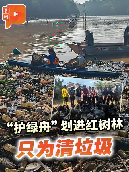 “护绿舟”划进红树林 只为清垃圾