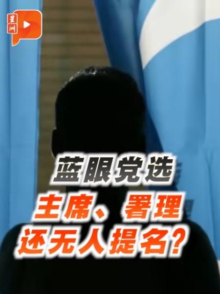 蓝眼党选 主席署理还无人提名？