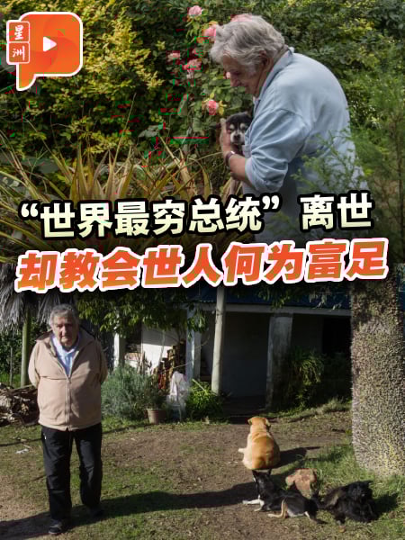 已故“世界最穷总统”生平语录 穆希卡留给世界的最后一课