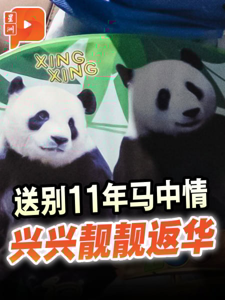 兴兴靓靓启程返华 园方依依不舍送别