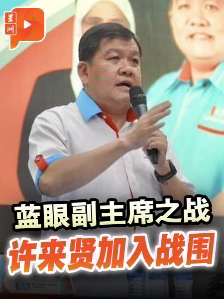 蓝眼副主席之战 许来贤加入战围
