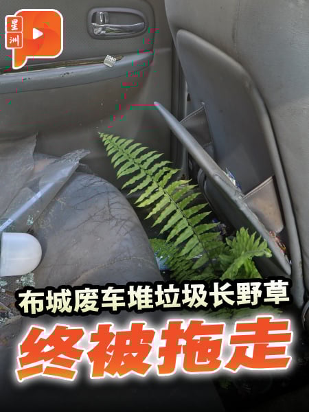 堆满垃圾还长野草！布城废弃车被拖走
