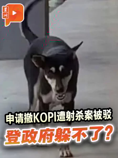 登政府撤讼申请被驳 KOPI遭射杀案813裁决