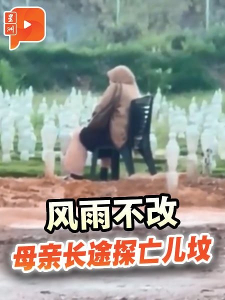 儿逝母未忘 风雨无阻跨州探坟