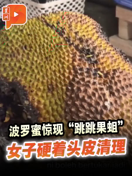 波罗蜜惊现“弹跳果蛆” 网友惊呼像跳嘻哈舞