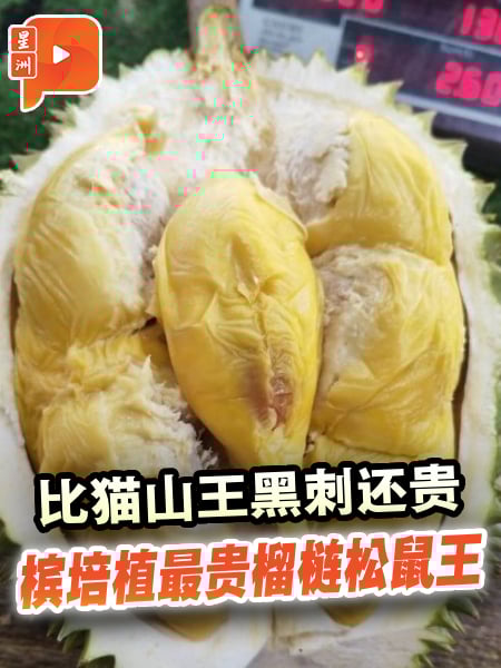 每公斤RM130 松鼠王膺“最贵榴梿”