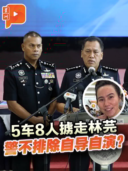林芫遭掳谜团未解 警盼狮城证人配合助查