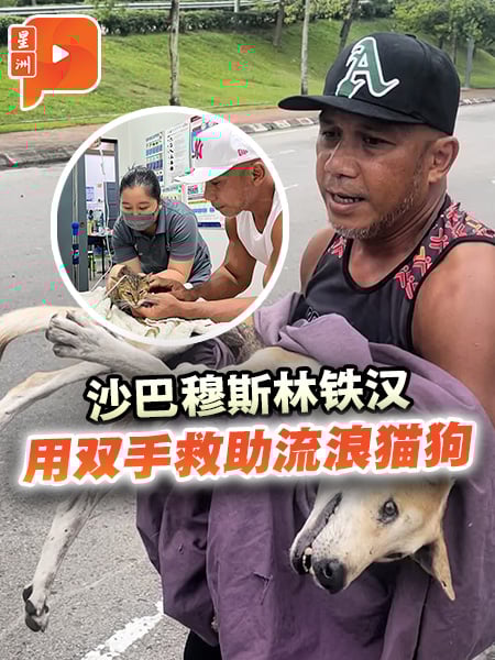 沙巴穆斯林铁汉护毛小孩 吁人道方式取代扑杀
