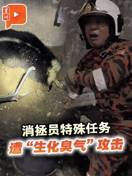 不是抓蛇抓壁虎 亚庇消拯员这次“遇到”对手了