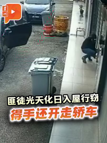 光天化日入屋行窃 匪徒得手还开走轿车
