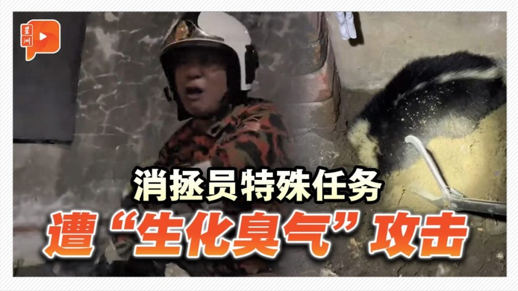 不是抓蛇抓壁虎 亚庇消拯员这次“遇到”对手了
