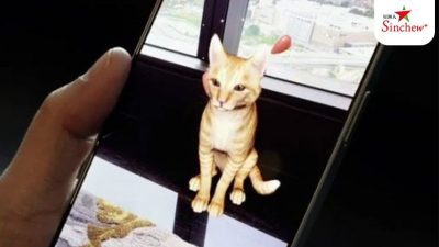 星洲人推荐》AI+AR 复活你的宠物 让思念触手可及