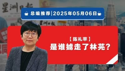 【总编推荐】陈礼苹：是谁掳走了林芫？