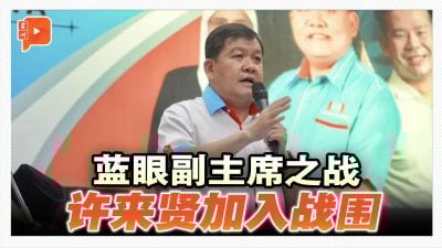 蓝眼副主席之战 许来贤加入战围
