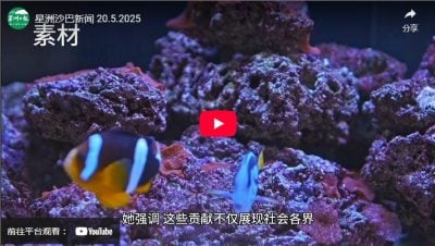 星洲沙巴新闻 20.5.2025