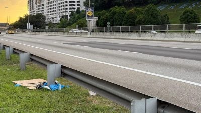 华裔女子大道坠亡 头部受重创致命 无冲突迹象！