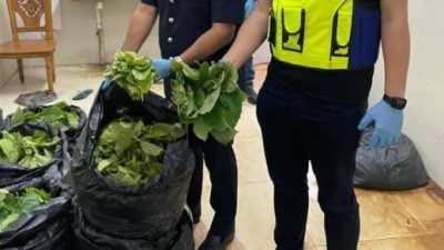 2无业男家中煮哥冬水 警员上门逮捕