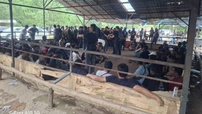 独家 | 双溪毛糯森林区集赌    警方逮捕124人
