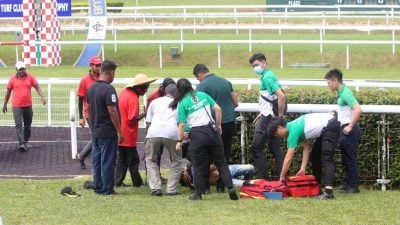 冠军马拍照突发惊踢  工作人员胸口中招倒地
