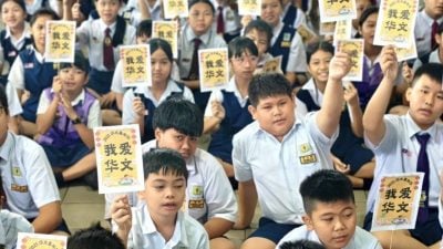 打里卜公民华文嘉年华 学生边玩边学寓教于乐