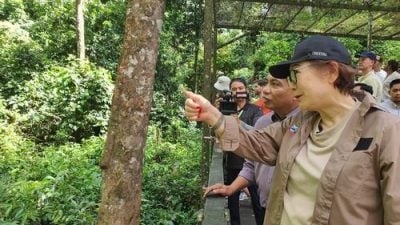 刘静芝：助力2026旅游年 800万升级4项旅游设施