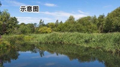 精神失常男子斩首2岁侄女　头颅丢池塘