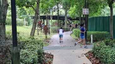 义顺公园蚊患 居民播歌驱蚊