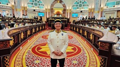 潘隆铭砂议会呈10提问