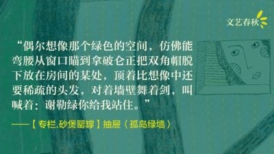 【专栏.砂煲罂罉】抽屉/孤岛绿墙