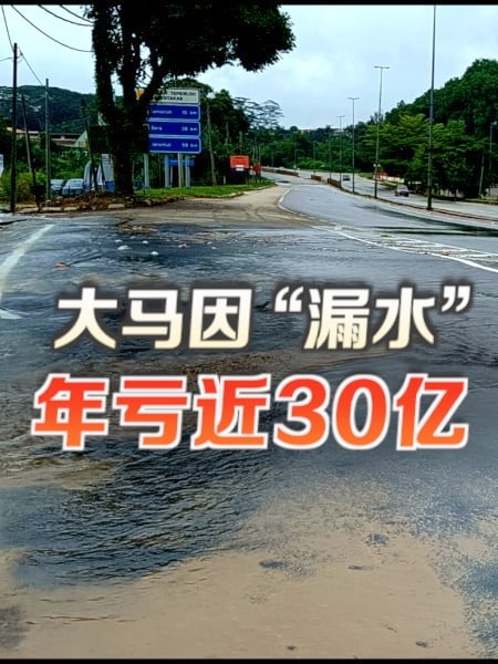 单因“漏水”问题 大马年损近30亿
