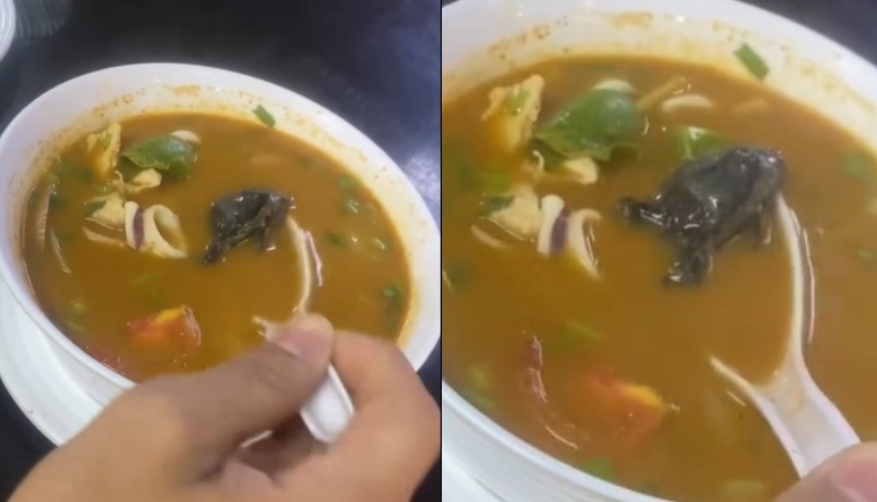 “加料”东炎汤竟然有这只  夫妇倒尽胃口