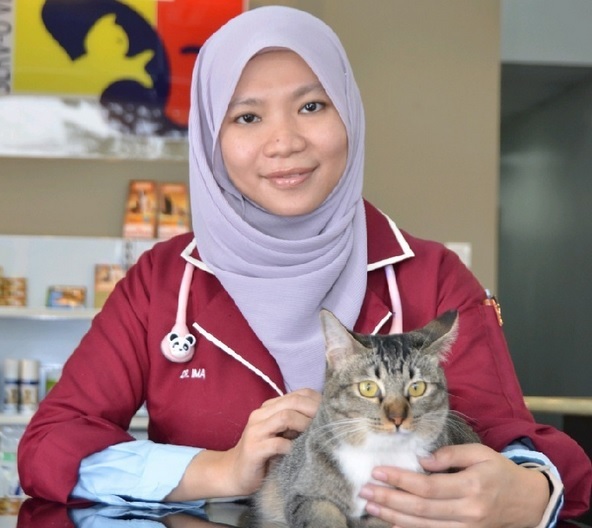 “宠物胖胖可爱但不健康!” 兽医警告:小心疾病缠身