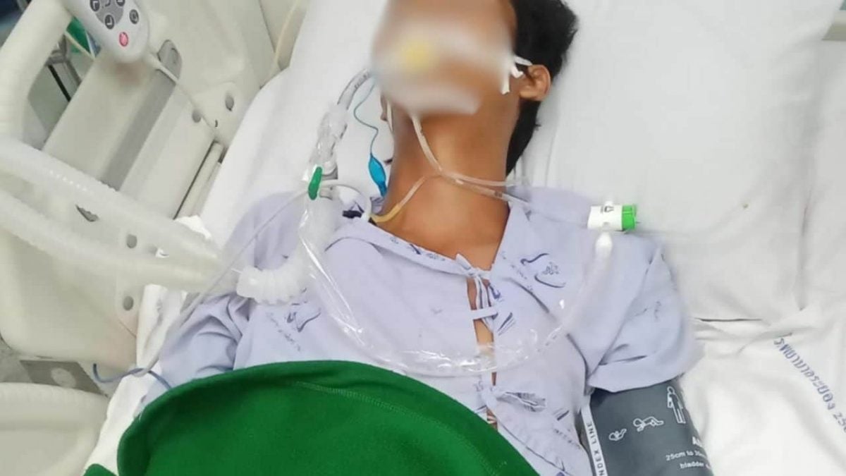 “没事,吃药回家!” 医生误判蛇咬无毒 少年翌日昏迷命危